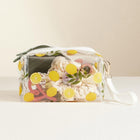 Toleel Pattern Transparent Cosmetic Pouch Bag | Clear Makeup Bag with Zipper | Travel Toiletry Organizer